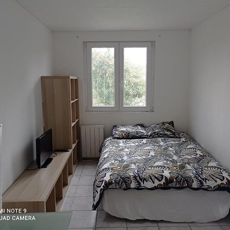 Studio Efficace, Calme Et Comfortable Apartment Albi Exterior photo